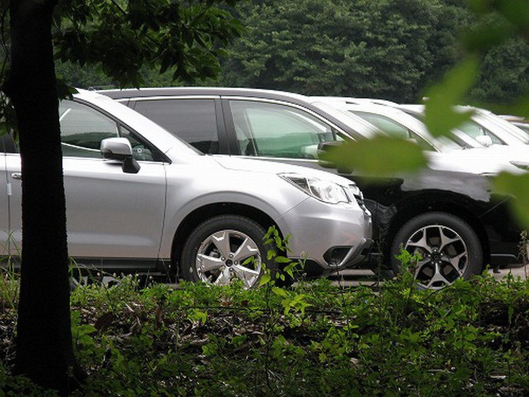 [2014-Subaru-Forester-CS41.jpg]