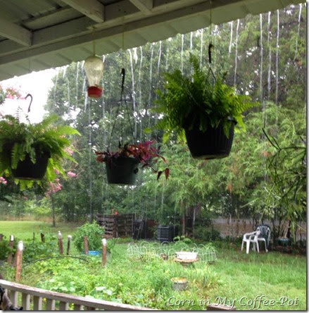 rain from the porch