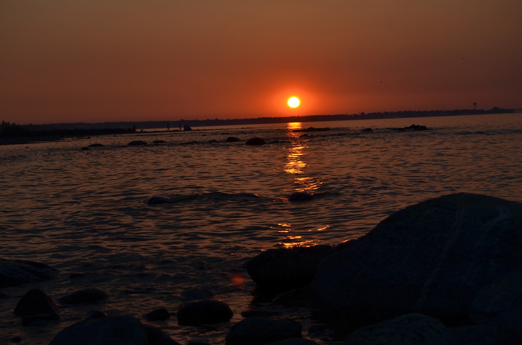 [DSC_2047%255B4%255D.jpg]