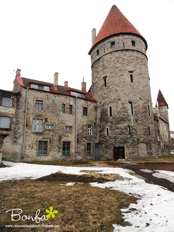 [20110411-087%255B3%255D.jpg]