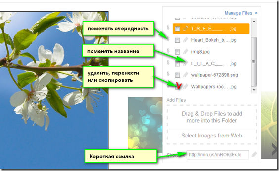Опции папки Minus (справа) Опции папки Minus (справа)
