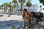 Sprachaufenthalt Viña del Mar