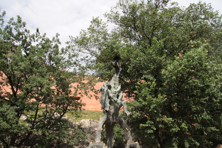 [IMG_52625.jpg]