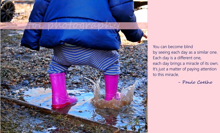 AOI in the puddle quotes