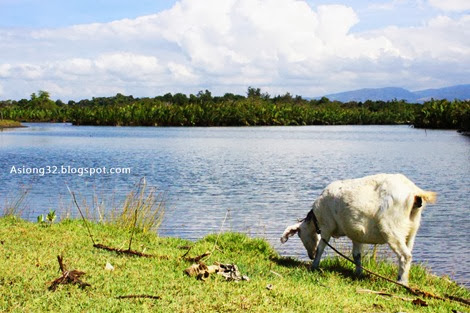 http://asiong32.blogspot.com/2013/12/xmas-at-zambales-personal-post.html