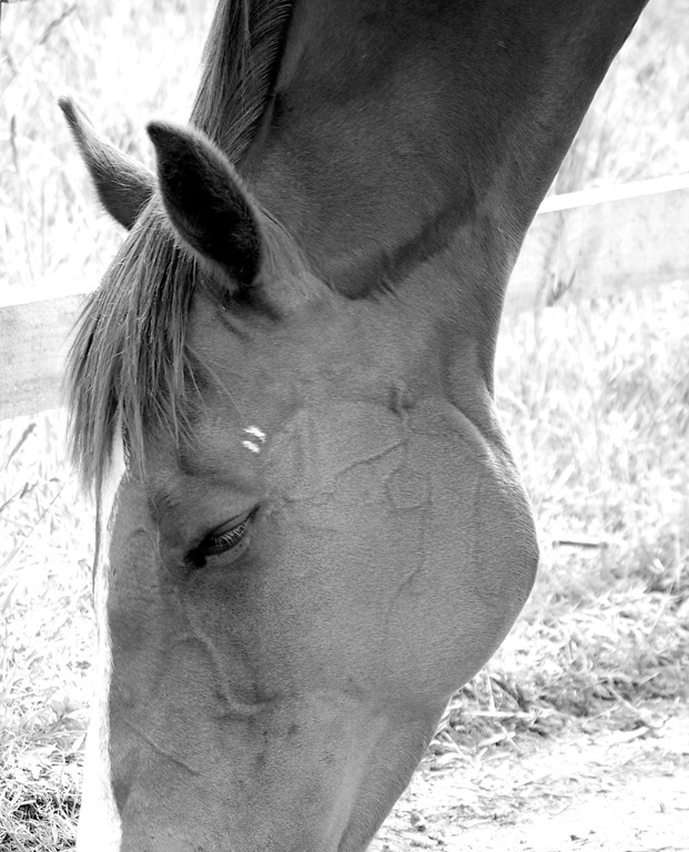 [4%2520June%2520FB3%255B3%255D.jpg]