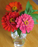 IMG_0007-1.JPG
