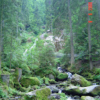 DSC02497.JPG