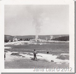 Old Faithful Geyser in Yellowstone National Park Wyoming 1952