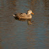 20121213-dsc_0213