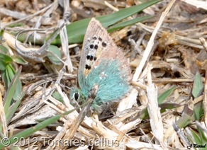 DSC_0157 DSC_0157