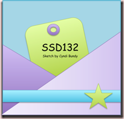 SSD132