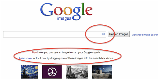 Search Through Images With Google Images