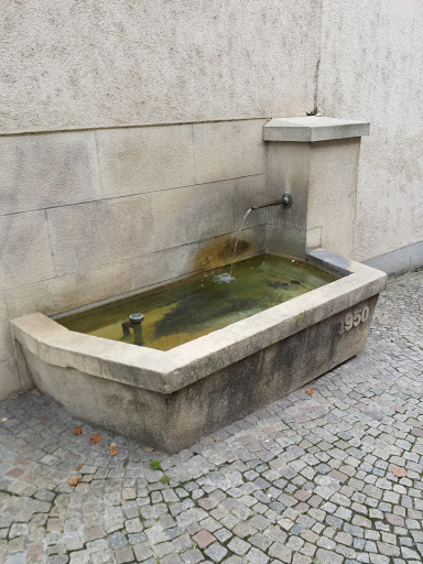 Brunnen Neustadt