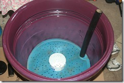IMG_4261 IMG_4261