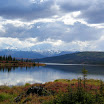 Alaska - Denali Natl Park 086.jpg