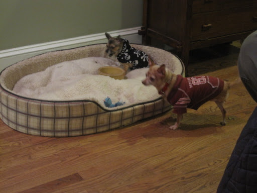 Boots and Minnow were inseparable! They talked and giggled for hours and hours on end.