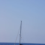 DSC00754.JPG