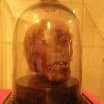 K800_IMGP1665.JPG