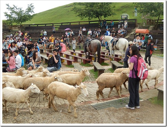 2013年台灣之旅_Day2_38