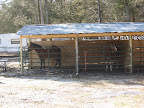 6-stall barn for sites A21/22/24 ---roof has been painted green since this photo taken, need to take some new photos :)