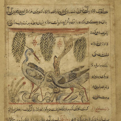 Folio from a Manafi'al-Hayawan (Usefulness of Animals); recto: two herons under pendant branches; verso: four birds in flight | Origin: Iran | Period: 1315 | Details: Not Available | Type: Opaque watercolor, ink and gold on paper | Size: H: 12.8 W: 12.0 cm | Museum Code: F1927.5 | Photograph and description taken from Freer and the Sackler (Smithsonian) Museums. 96b1e8e83b07409985ce143a5e33bfc6.jpg