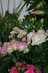 DSC00862.JPG