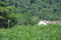 Fotos do evento Paraty. Foto numero 8900879384581007867.