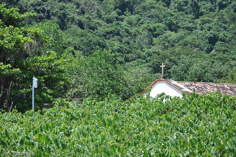 Fotos de Paraty. Foto numero 8900879384581007867.