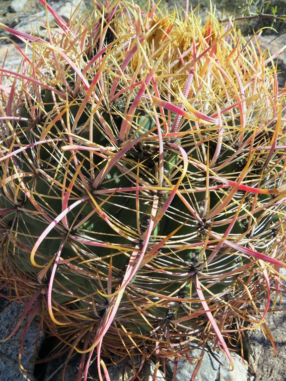 [fixed_canon%2520564%255B5%255D.jpg]