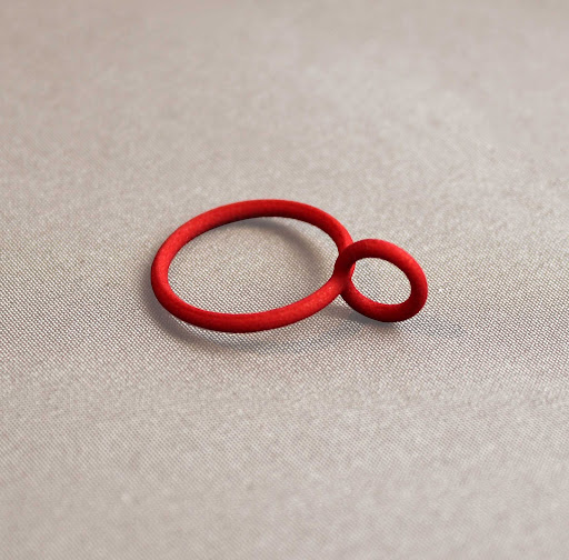 Silva/Bradshaw Printed Nylon 3D Ring, $25.