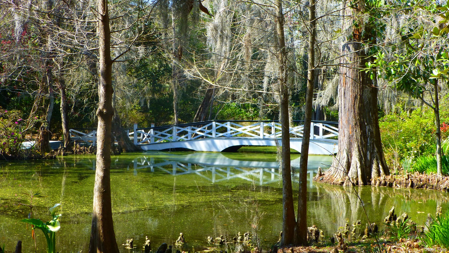 [Magnolia%2520Plantation_170%255B4%255D.jpg]