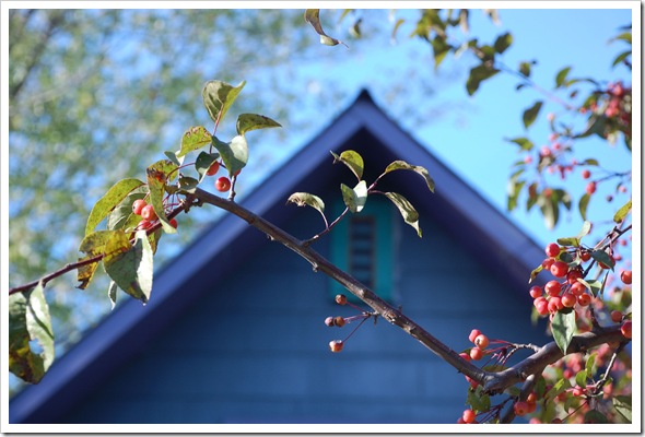 Purple House
