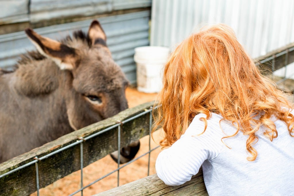 [IMG_1118%255B4%255D.jpg]