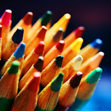Macro Photography