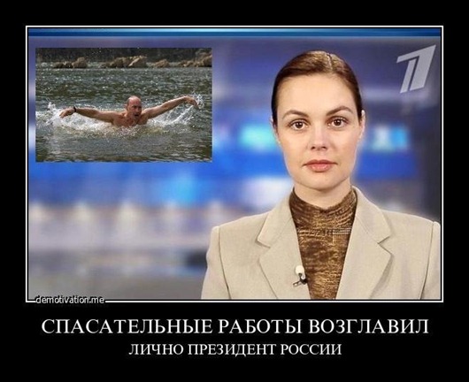 gU6QVqtQ51s gU6QVqtQ51s