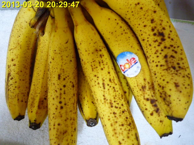 P1010302
