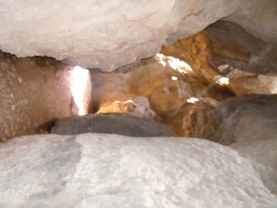 DSCN3914.jpg