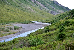 tundra landscape