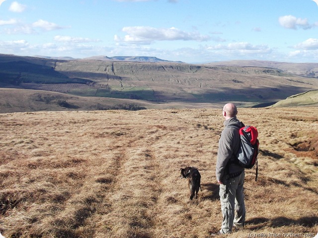 the nephew, the pooch and the wild boar fell