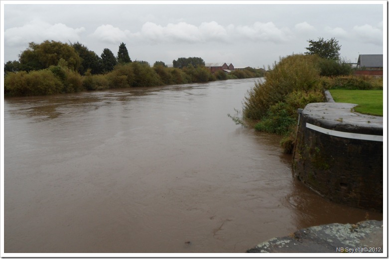 SAM_3487 Ouse at Selby