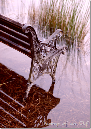 Bench in water