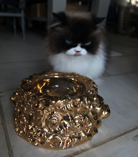 I must admit that the water looks really, really good in such a fine bowl.  I can't help but salivate!