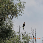DSCN9655.JPG