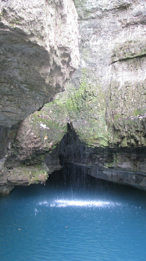 View of the cave and spring at Roaring River Hatchery
photo credit:  Michele Skalicky