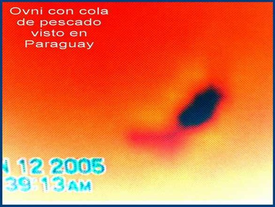 ufo fish_5 a ufo fish_5 a