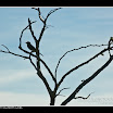 alicea_071123_9727.jpg