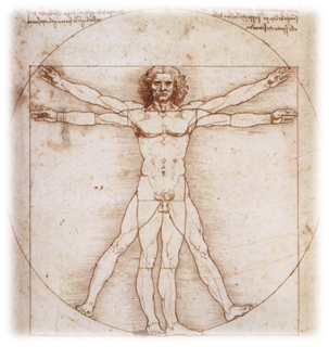 El hombre de Vitrubio, Leonardo da Vinci El hombre de Vitrubio, Leonardo da Vinci
