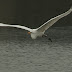 20130519-dsc_3943