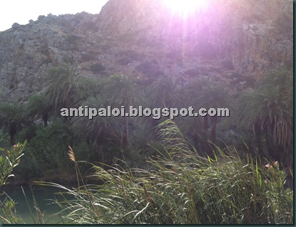 IMG_2175 IMG_2175